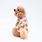 Pawstar Sarasota Kedi ve Küçük Irk Köpek Gömleği