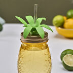 Karaca Ananas Transparent Pipetli Su Şişesi 550 Ml