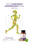 Erbatab Thyrobex Multivitamin 60 Kapsül