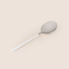 Evidea Kitchen Raya Servis Kaşığı - Platin / Beyaz