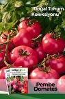 100 Adet Pembe Domates Tohumu- İnce Kabuk-Sofralık