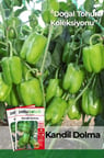 200 Adet Kandil Dolma Biber Tohumu