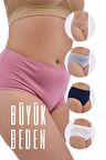 Kadın Büyük Beden Külot Battal Full Brief (8XL, 9XL, 10XL) 5 Farklı Renk 1 Pakette