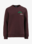 Kahve Erkek Bisiklet Relaxed Fit Nakışlı Sweatshirt D4WM-SWT3276