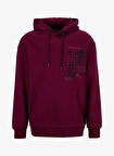 Discovery Expedition D5WM-SWT3881 Bordo Kapüşon Yaka Relaxed Baskılı Erkek Sweatshırt