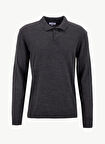 Limon Polo Yaka Basic Düz Antrasit Erkek Kazak MML5WM-KZK9528
