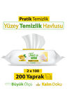 Turco Doğadan Pratik Yüzey Temizlik Havlusu Limon 2x100 (200 Yaprak)