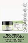Mugwort & Madecassoside Yatıştırıcı ve Onarıcı Nemlendirici Krem|Mugwort&Madecassoside Cream 50ml