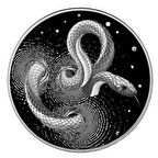 AgaKulche Yılan Gümüş Sikke Coin