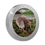 AgaKulche Kiwi Kuşu Gümüş Sikke Coin