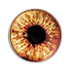 AgaKulche Kahve Renk Göz Gümüş Sikke Coin