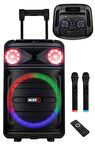 Midex 1100 Watt Mikrofonlu Karaoke Eğlence Işıklı Ses Sistemi MXR-1100 (Bluetooth Kayıt Usb Şarjlı)