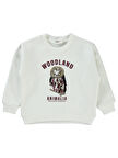 Civil Girls Kız Çocuk Sweatshirt 2-5 Yaş Ekru