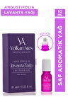 Volkan Ates Natural & Beauty Lavandula Angustifolia Saf Lavanta Yağı Roll-On 10 ml