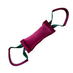 Hakiki Suet Köpek Oyuncak Isırma Yastığı