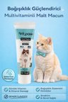 Multi Paste 100 Gr.(KEDİLER İÇİN BAĞIŞIKLIK GÜCLENDİRİCİ VE TÜY YUMAĞI ÖNLEYİCİ MULTİVİTAMİN)