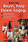 Vitpaw Fish Oil 200 ml.  (Kedi VE Köpekler İçin Omega 3 ve 6 İçerikli Balık Yağı)