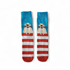 Yaramaz Denizaslanı Çorap