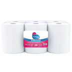 Linay Fotoselli Kağıt Havlu 6 Rulo – 4 kg, 2 Katlı, 21 cm x 67 m, %100 Selüloz, Dispenser Uyumlu