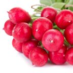 Kırmızı Fındık Turp Tohumu (550 tohum)