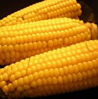 Tatlı İri Taneli Haşlamalık Süt Mısır Tohumu (25 tohum)