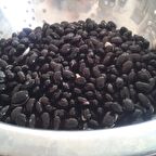 Doğal Black Turtle Siyah Fasulye Tohumu (10 tohum)