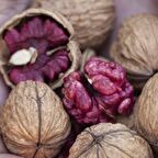 Sınırlı Stok Özel Üretim Europa Kırmızı Ceviz Fidanı