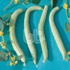 Verimli Turşuluk Geleneksel Anadolu Acur Tohumu (50 Gr)