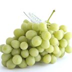 Tüplü Çekirdeksiz Superior Seedless Üzüm Asma-Bağ Fidanı