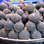 Tüplü Sofralık Bursa Siyahı Dürdane İncir Fidanı