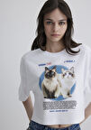 Kedi Baskılı Beyaz Tişört 1613098-620