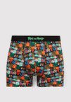 Renkli Boxer 0911985-34621