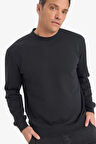 %100 Pamuk Regular Fit Bisiklet Yaka Sweatshirt