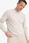 Regular Fit Bisiklet Yaka Sweatshirt