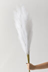 Yapay Pampas 100 Cm Tek Dal Beyaz 5'li