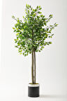 Yapay Benjamin Ağacı 160 Cm Siyah Gümüş Metal Saksı