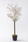 Yapay Bahar Dalı Ağacı 150 Cm 30 Dal Beyaz