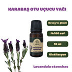 Sİ BEMOL KARABAŞ OTU UÇUCU YAĞI