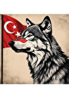 ASİL KURT 33 50X50CM PVC ÇERÇEVESİZ TABLO
