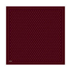 Armine E25KA9412001 04 DJ Saf İpek Eşarp