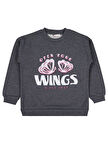 Civil Girls Wings Baskılı 6-9 Yaş Sweatshirt - Gri 9-10 Yaş
