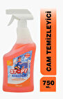Cam Temizleyici Sprey 750 ml