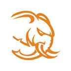 Kızgın Fil Araba Sticker 17x17 Cm Turuncu