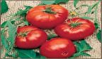 Doğal Brandywine Red Domates Tohumu(20 adet)