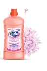 Yüzey Temizleyici Pudra 2000 ml