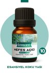 Nefes Açıcı Nane Ve Mentol Esansiyel Uçucu Koku Yağı Buhurdanlık Yağı Difüzör Esansı Küre 10ml