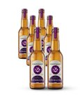 Sade 6'lı Kombucha Paket x 330 ml