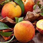 Tüplü Aşılı Verimli Orta Erkenci Geleneksel Anadolu Şentürk Şeftali Fidanı