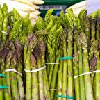 Kuşkonmaz Tohumu (20 adet)