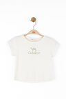 Nk Kız Çocuk CameloTshirt 8-14 Yaş Krem